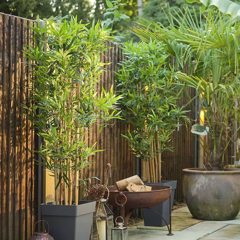 High quality real touch bamboo plants.