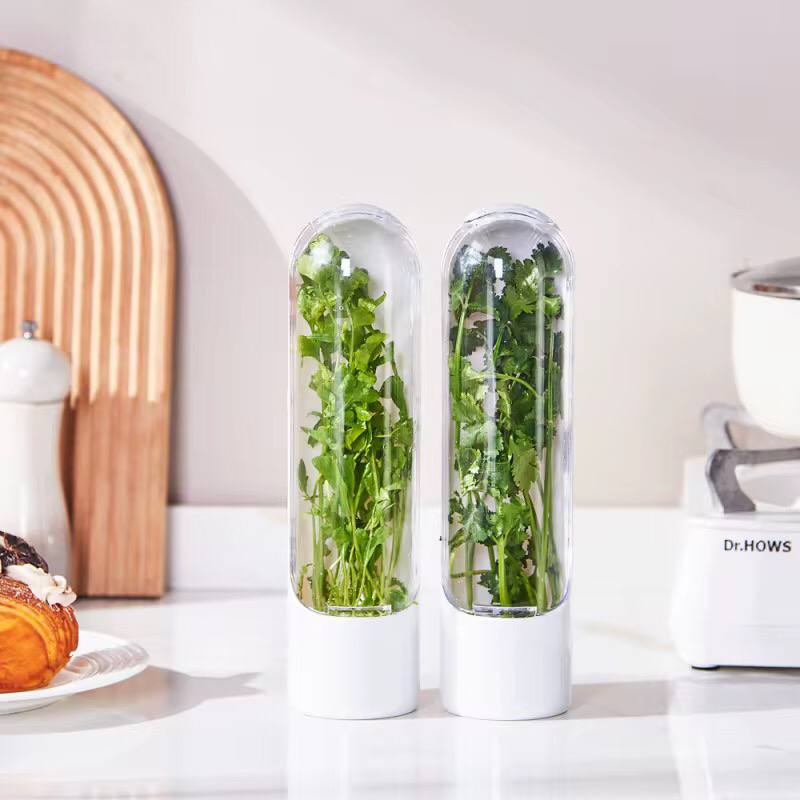 Herb and Vegetable Fresh-Keeping Cup kitchen Storage Vegetable
