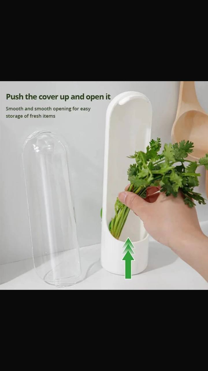 Herb and Vegetable Fresh-Keeping Cup kitchen Storage Vegetable