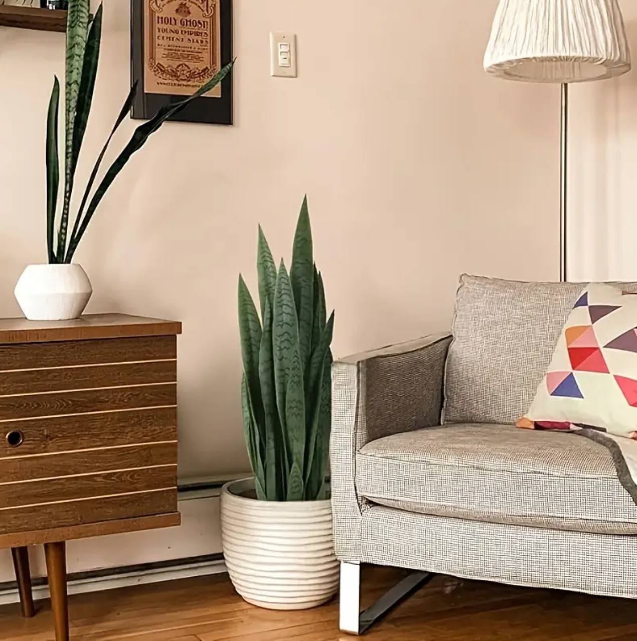 Real touch Green sansevieria