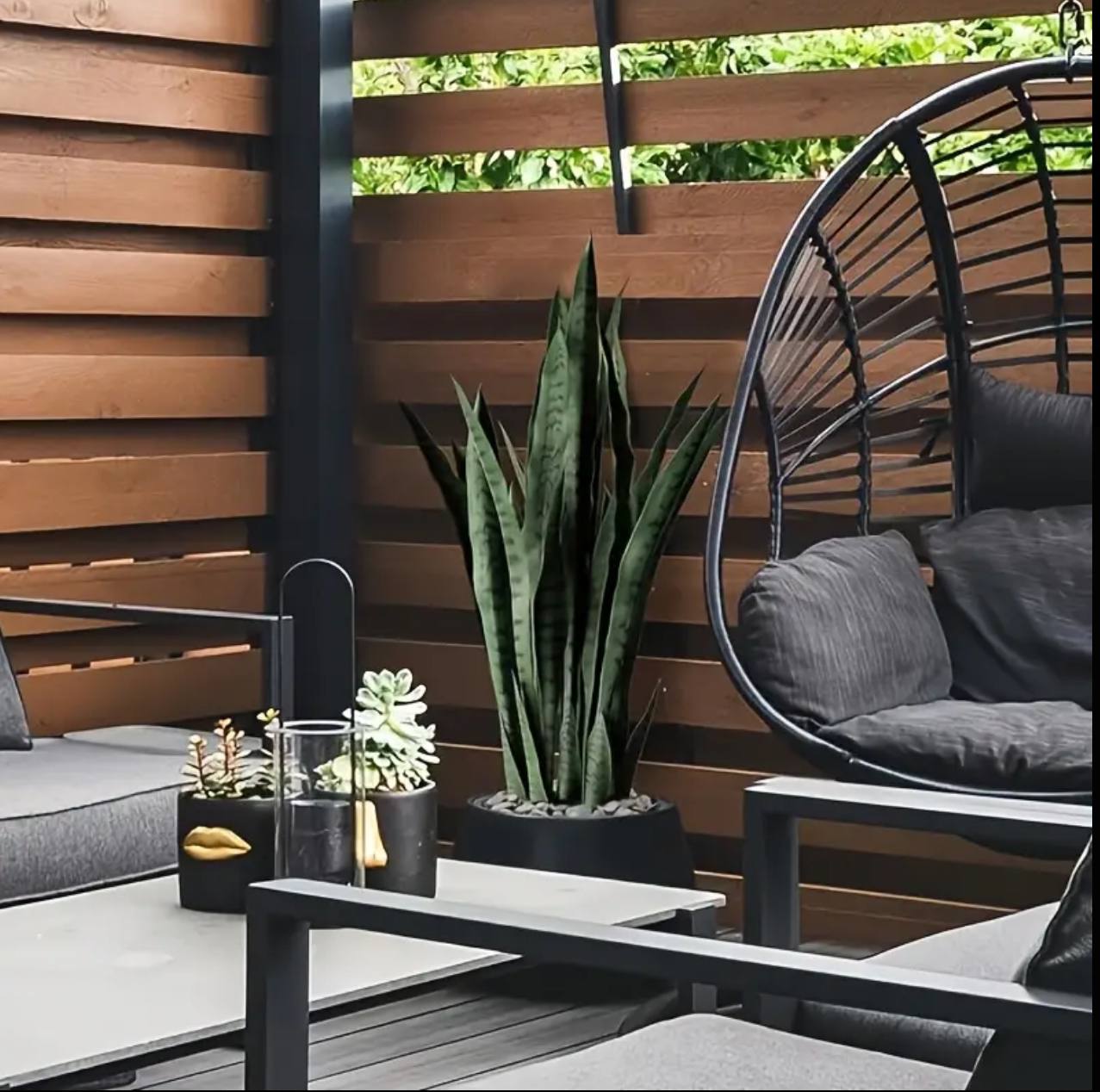 Real touch Green sansevieria