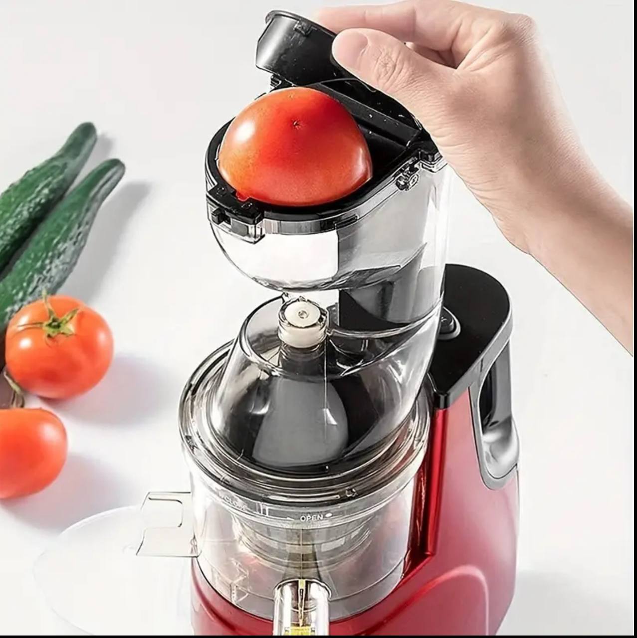 Electric Slow Juicer