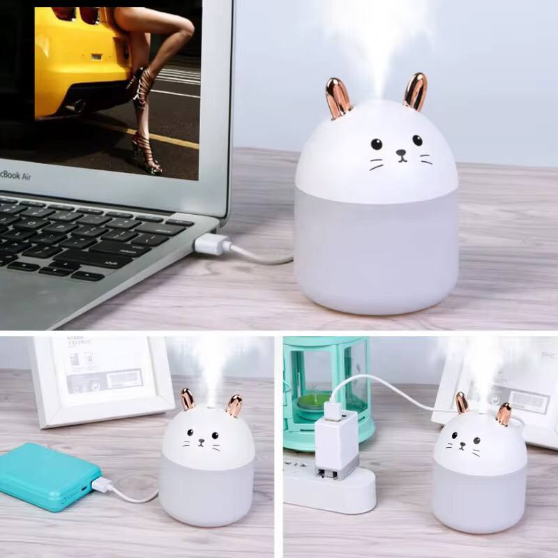 Rabbit humidifier.