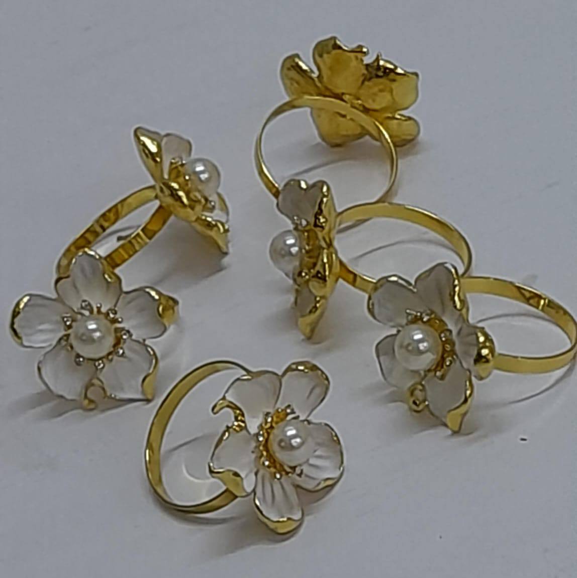 6pc Napkin ring holder