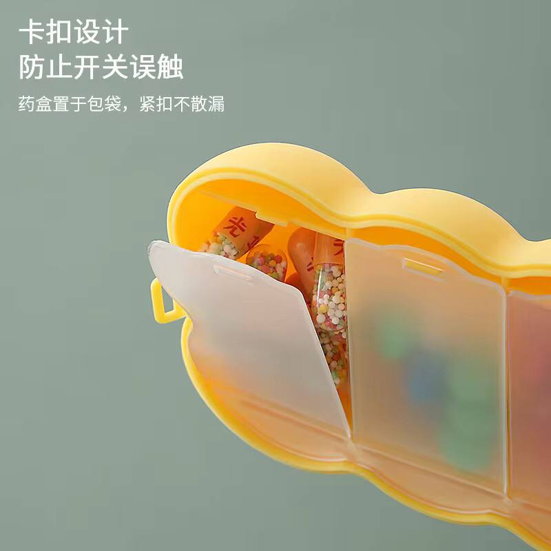 6 grid pill case.