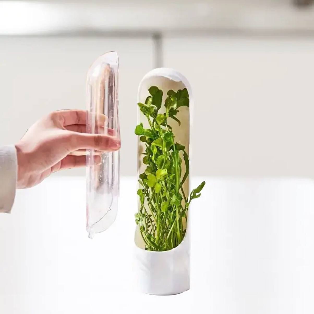 Herb and Vegetable Fresh-Keeping Cup