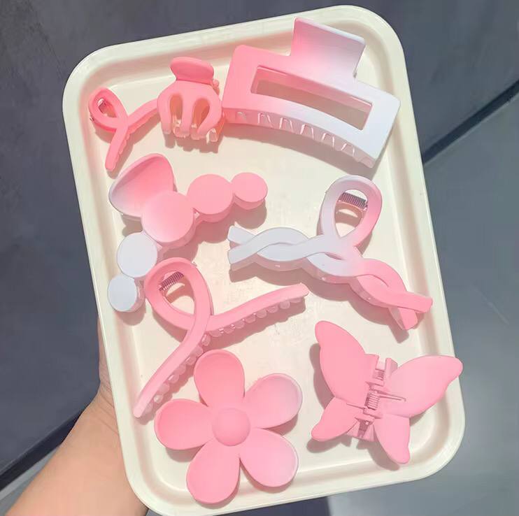 Ladies Hair clips/Accessories