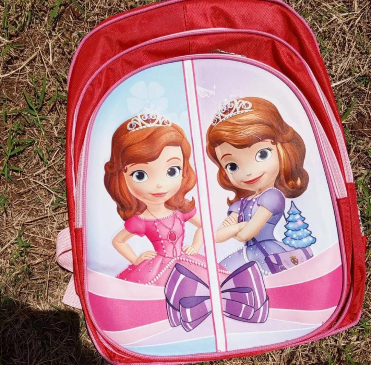 Grade 1-5 School Bag