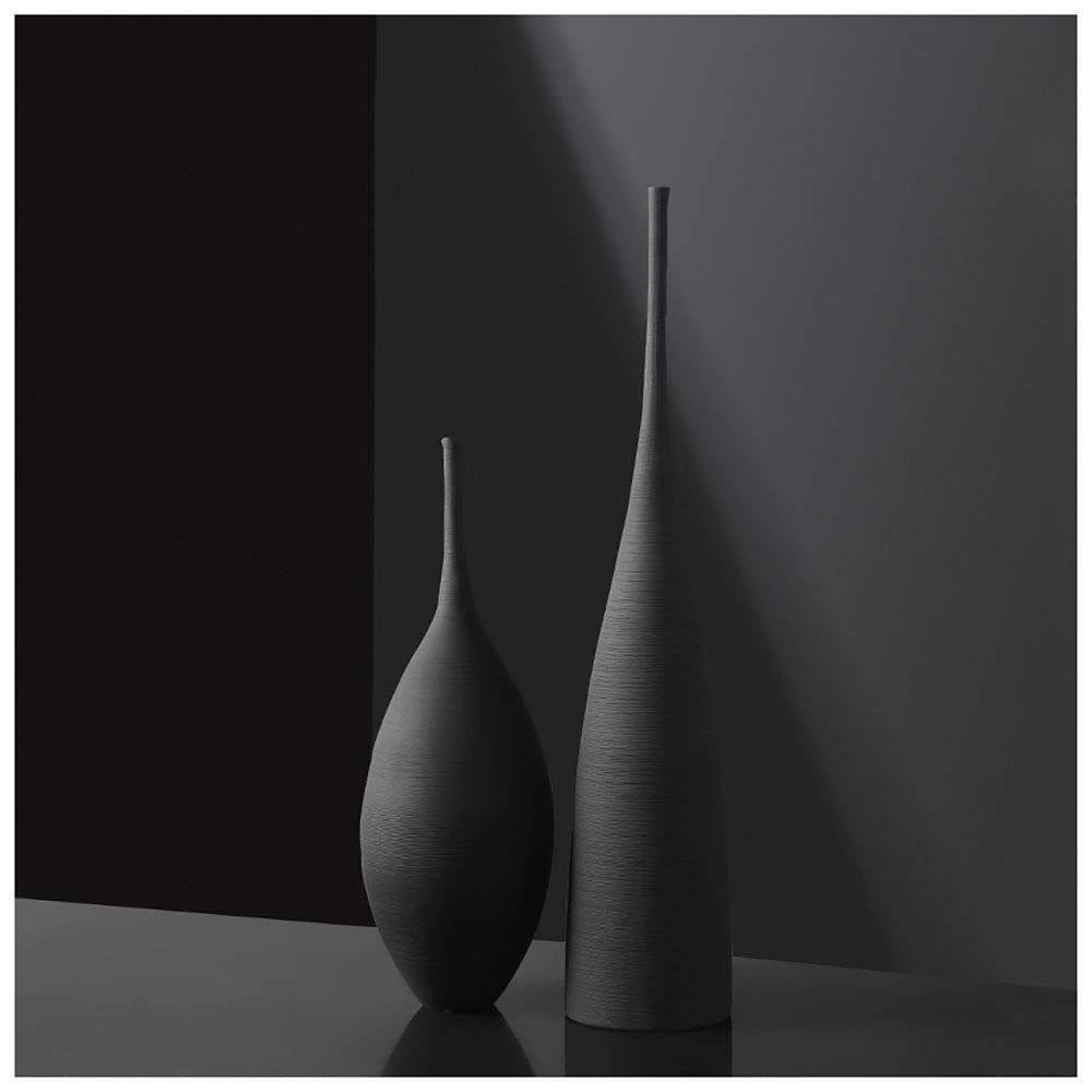 Luxury 2pc black brushed decor vases
