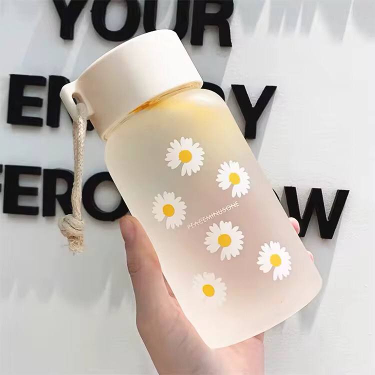 Cute transparent water bottles
