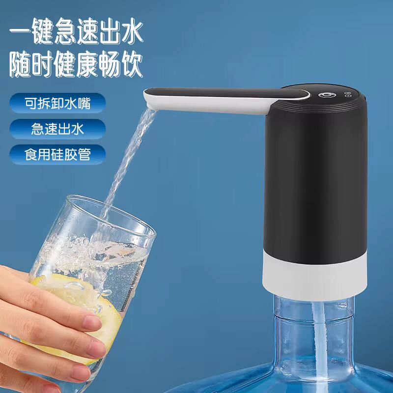 Electric hand press water pump