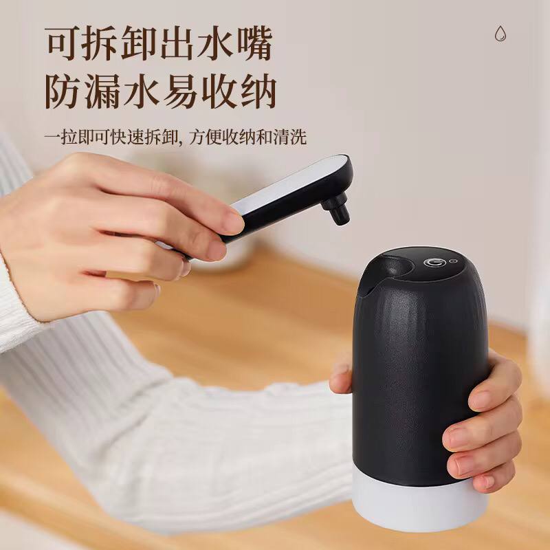 Electric hand press water pump