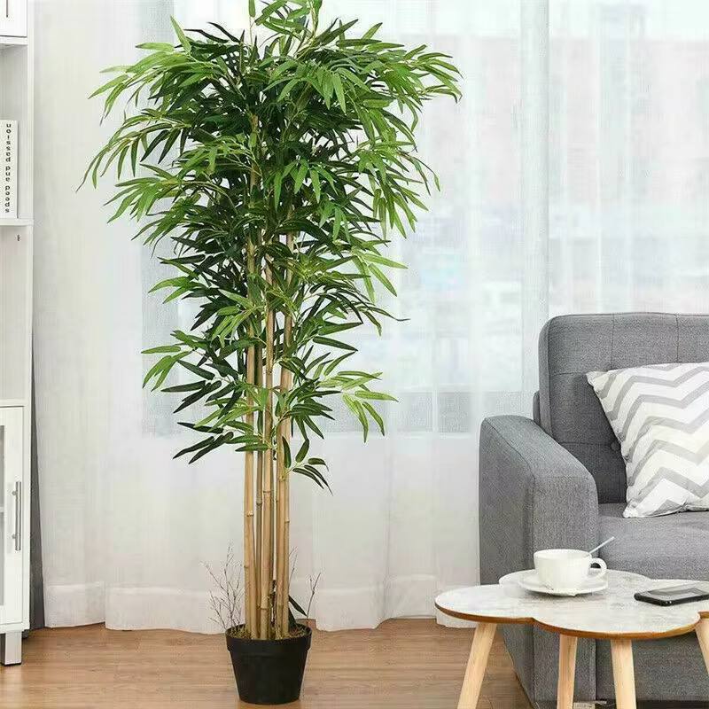 High quality real touch bamboo plants.