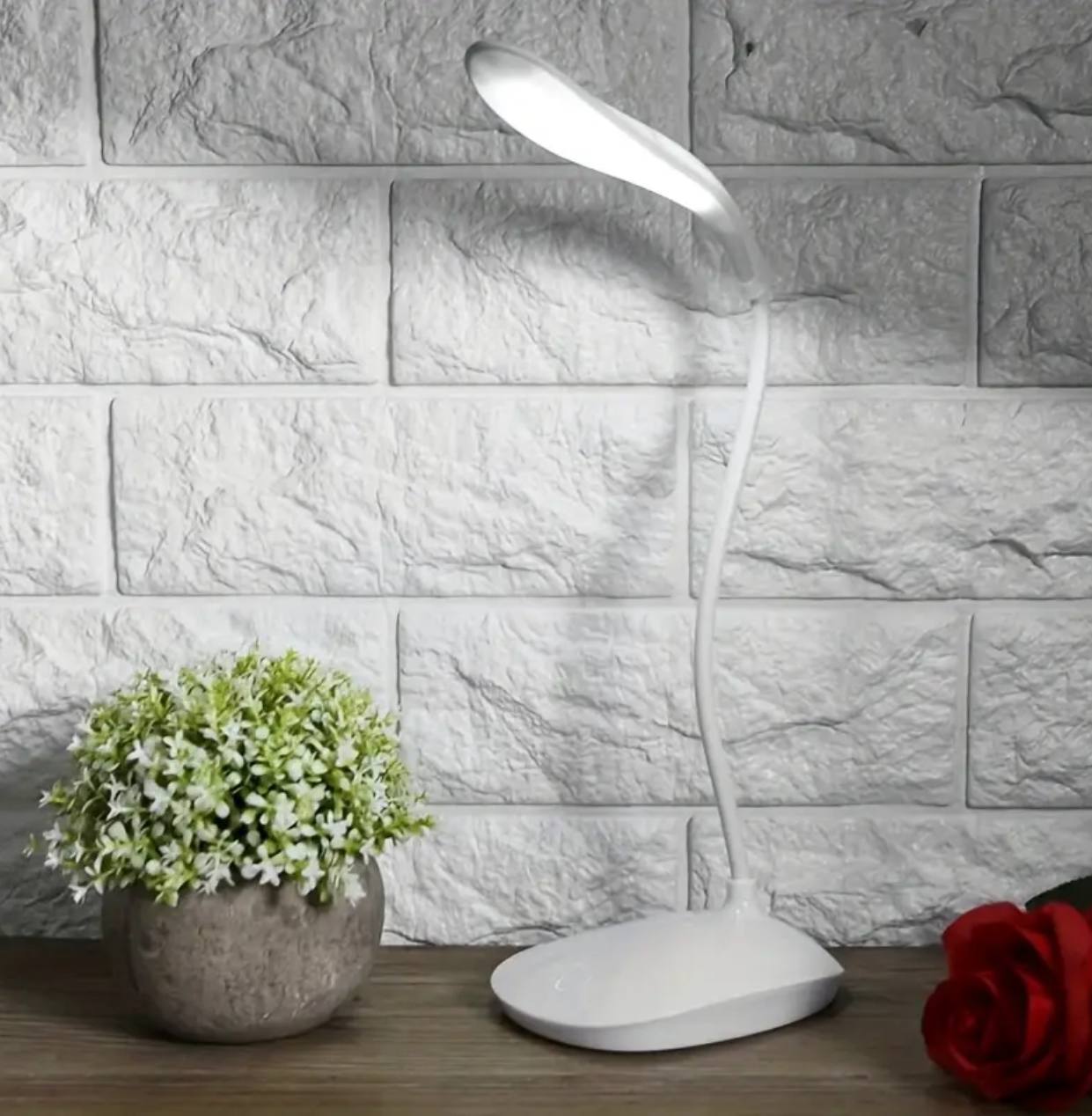 Rechargeable Study Lamp