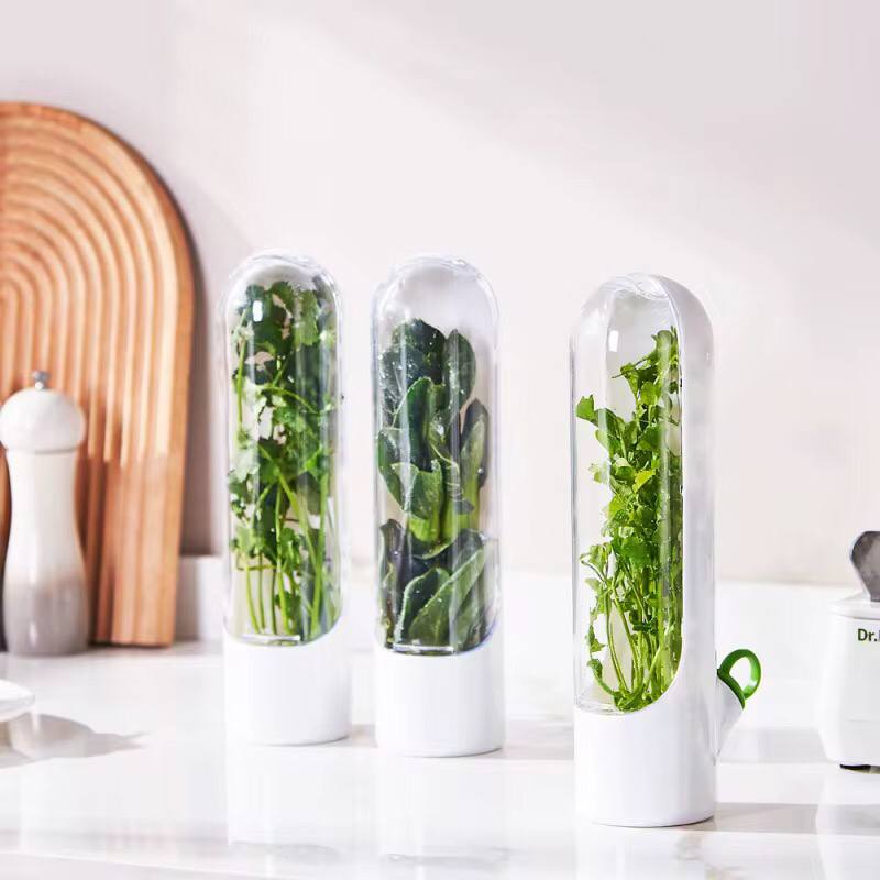 Herb and Vegetable Fresh-Keeping Cup kitchen Storage Vegetable