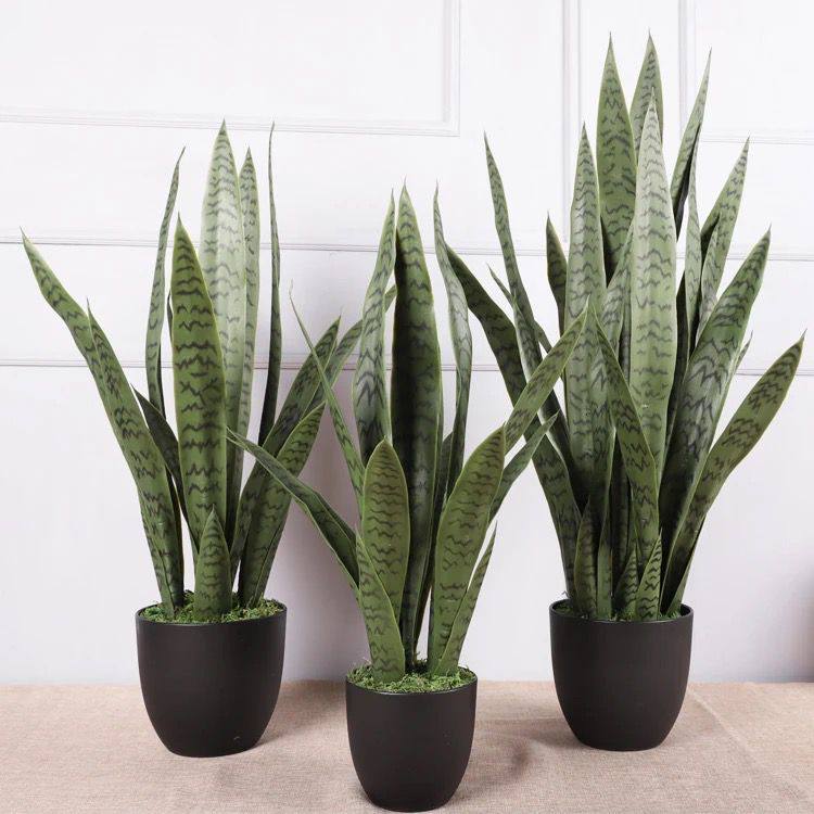Real touch Green sansevieria