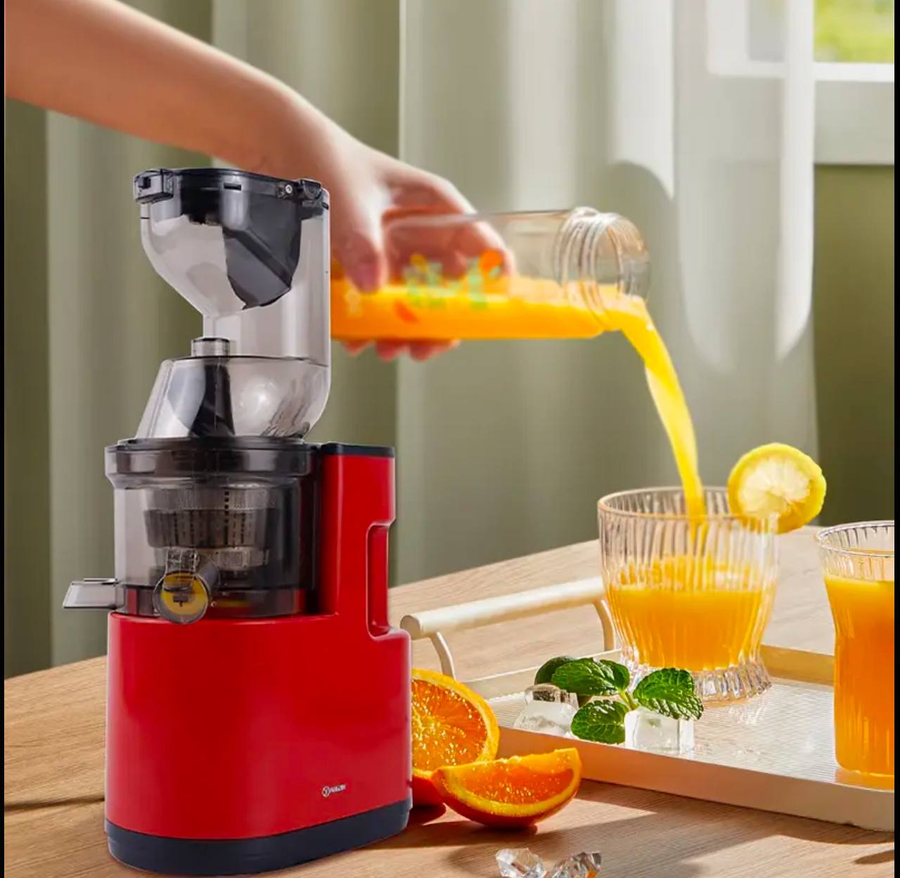 Electric Slow Juicer