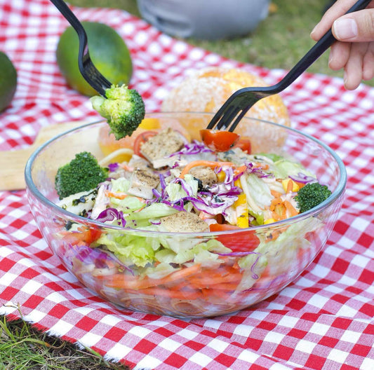 Borosilicate Pyrex Bowl Big