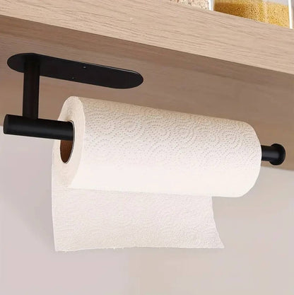 Stainless wall mounted Paper towel holder