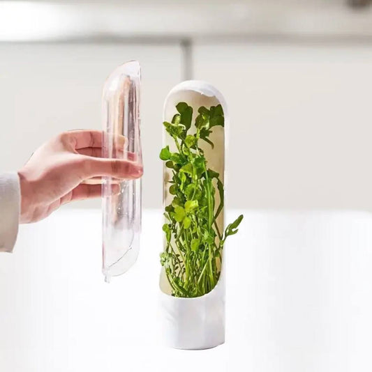Herb and Vegetable Fresh-Keeping Cup