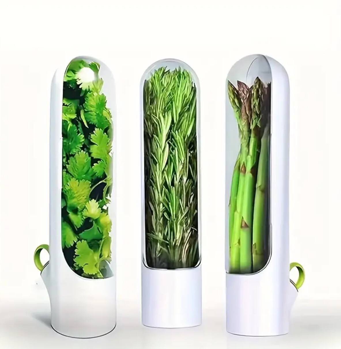 Fresh herbs fridge storage container