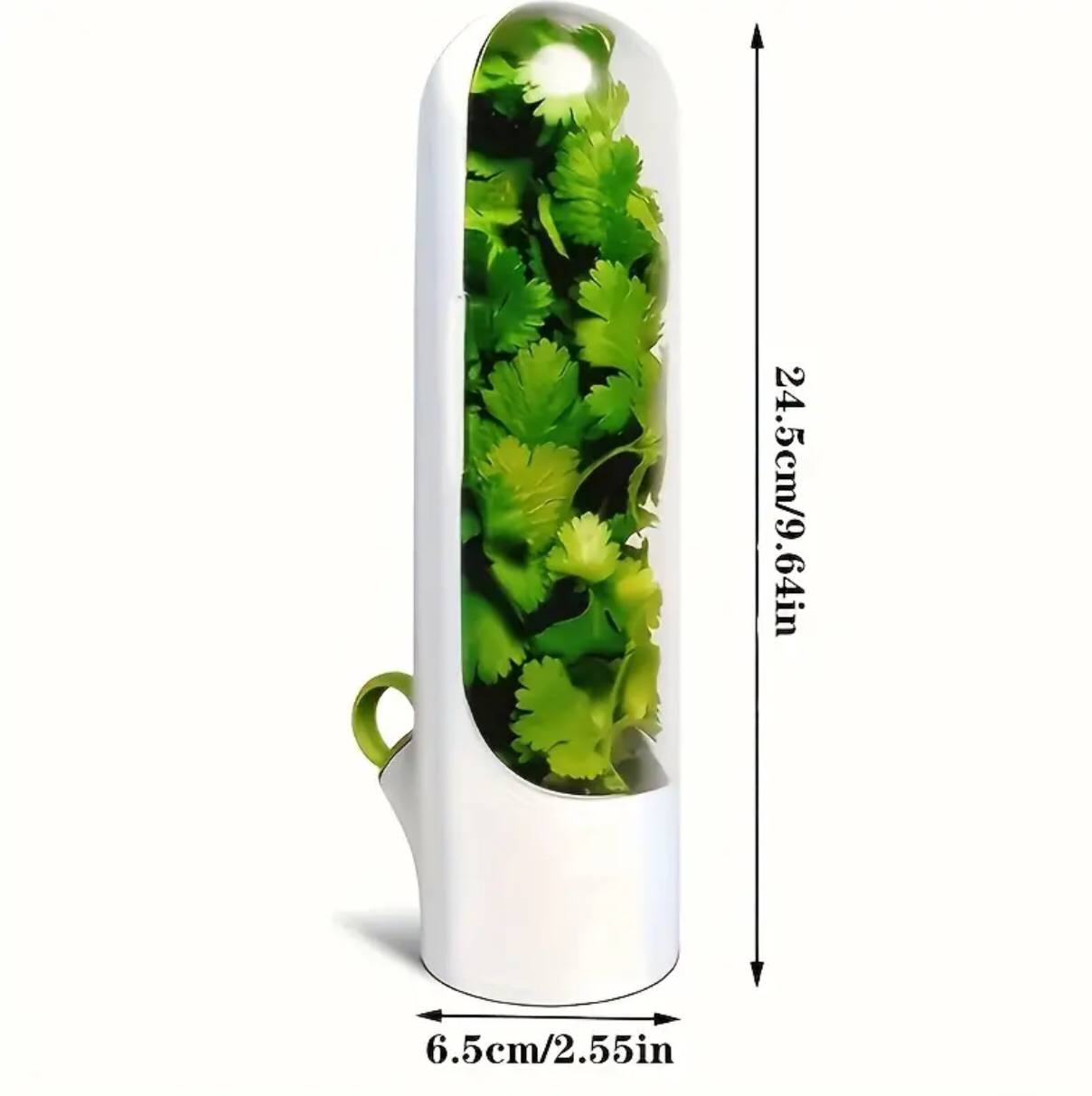 Fresh herbs fridge storage container