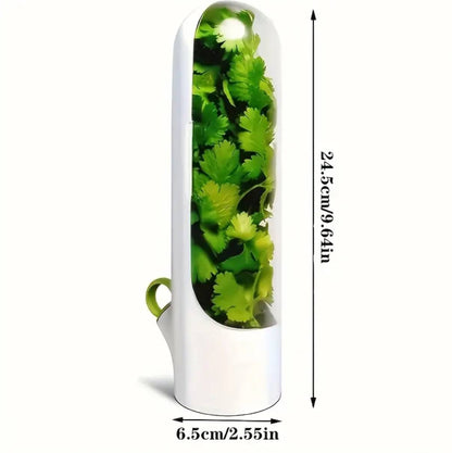 Fresh herbs fridge storage container