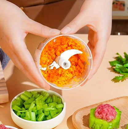 Mini electric garlic chopper/ vegetable Cutter