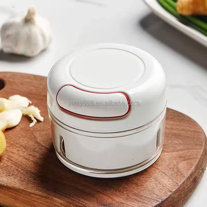 Mini manual Food Chopper