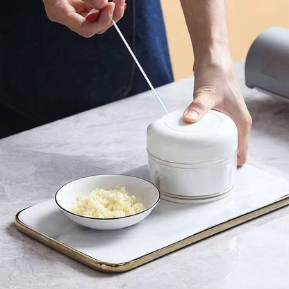 Mini manual Food Chopper