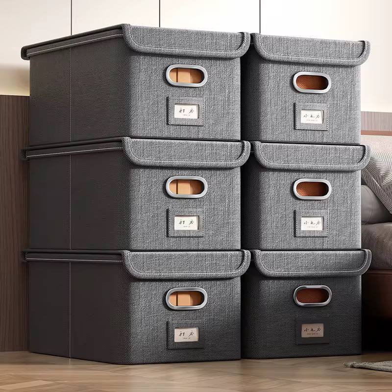 Flip Lid Foldable Closet Organizer