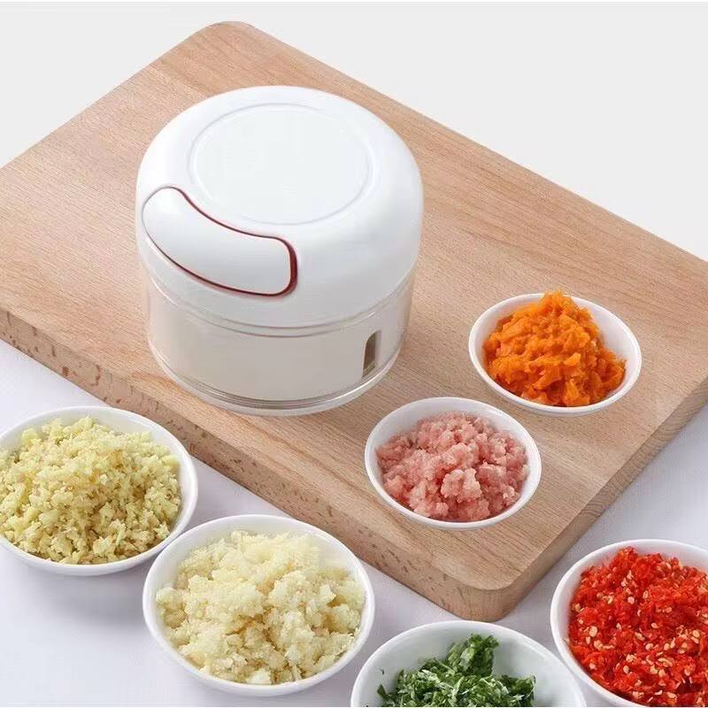Mini manual Food Chopper