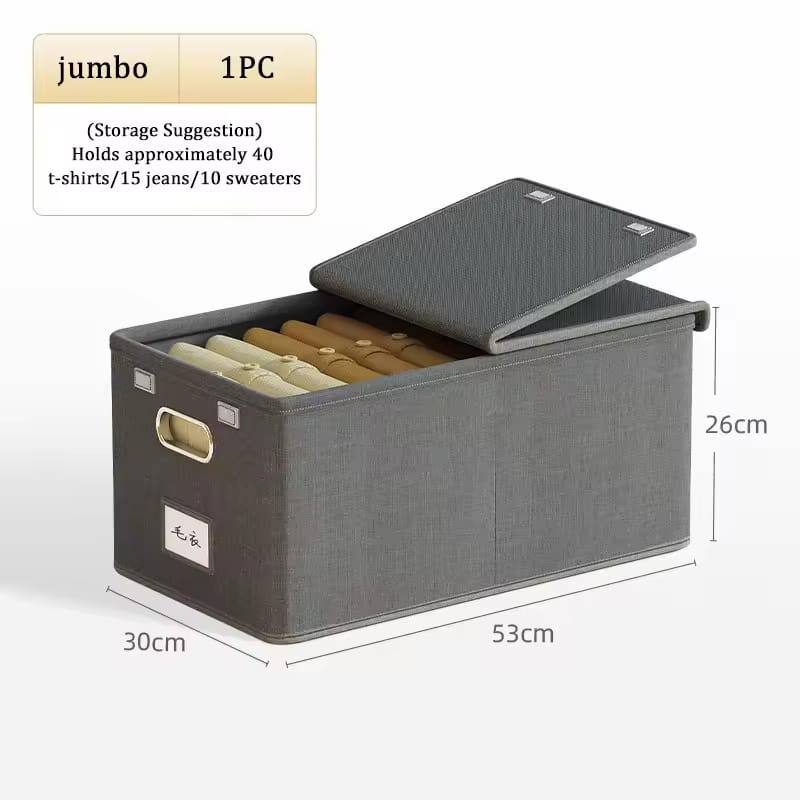 Flip Lid Foldable Closet Organizer