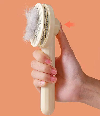 Self cleaning Massage Comb/ Hair Brush