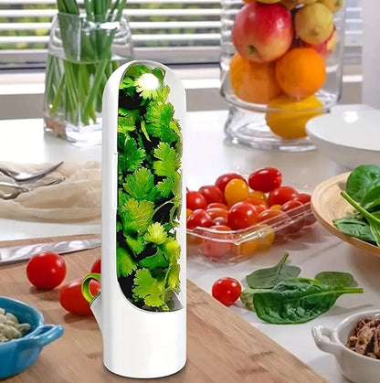 Fresh herbs fridge storage container