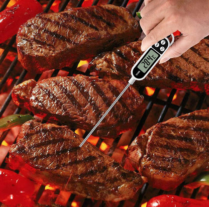 Food grade digital thermometer