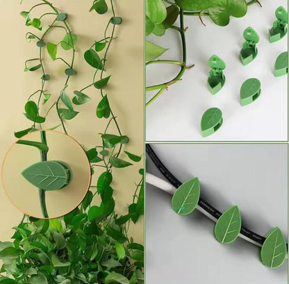 10 pcs Creative DIY Climbing Wall Fixture Clips