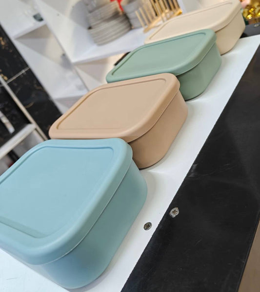 partitioned leak proof silicone lunch box